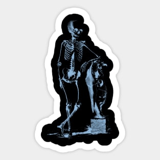 Osteographia Sticker